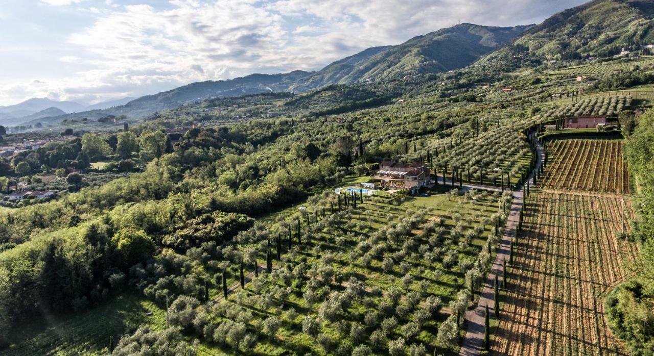 Accogliente Alloggio Con Vista E Piscina Lucca Bagian luar foto